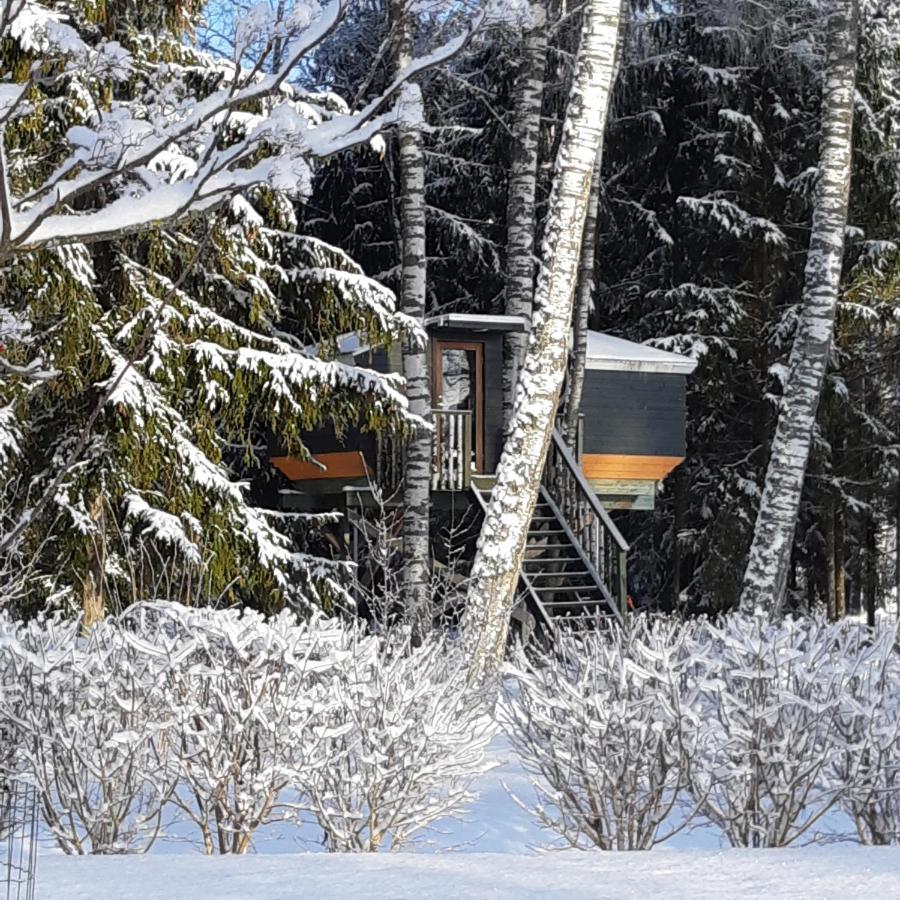 Spa Glamping Kirikumoisa Εξωτερικό φωτογραφία